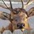 Travis Woddington's profile image