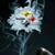 Michelle Johnson's profile image