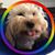 Tisha Belme's profile image