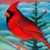 Linda McCann's profile image