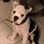 Raquel Carrillo's profile image