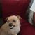 Deb McDaniel's profile image