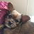 Vickie Mitchell's profile image