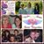 Theresa M Dunn's profile image