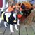 Kathy Steedman's profile image