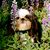 Cindy Breipohl Bue's profile image