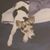 Lindsey Marie's profile image