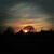 Candise Swennes's profile image