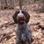 Andy Clements's profile image