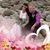 Debbie Taylor's profile image