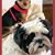 Linda M Robinson's profile image