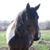 Heidi Abston Story's profile image