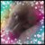 Cherie Martin's profile image