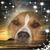 Kathleen Gallina's profile image