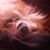 Karen Huffman Wilson's profile image