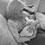 Donna Desmond Muszynski's profile image