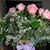 Donna Dulac's profile image