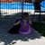 Herb Varin's profile image