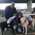 Wendi Coffman-Stanley's profile image