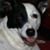 Sherry Brannon-Teeters's profile image