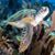 Amy Eldridge's profile image