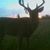 David Curley's profile image