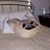 Caren Sandler Corman's profile image