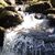 Sue Jewett Lewis's profile image