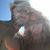 Ciera Marie Garrett's profile image