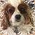 Deb Haggerty's profile image