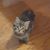 Janet Small Glenn's profile image