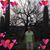 Karen Richardson Griffin's profile image