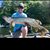 Colin Buckley's profile image