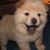 Jemma Richway's profile image