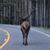 Denise Kipp's profile image