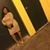 Elida Felix Mederos's profile image