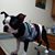 Art Wilmeth's profile image