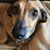 Kim Nelson's profile image