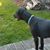 Jason Bliss-Wohlers's profile image