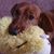 Susan Stillwell's profile image