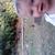 Jason Shook's profile image