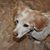 Kevin B. Clamp's profile image