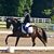 Meredith Kenyon's profile image