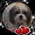 Gina Sullivan Skinner's profile image