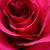 Karen Sophia Kirkland's profile image