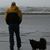 Renee Tipton's profile image