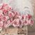Sara Ridha's profile image