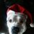 Heidi Gregory's profile image