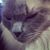 Mac Leigh Valiente's profile image