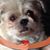 Roxanne Miller's profile image